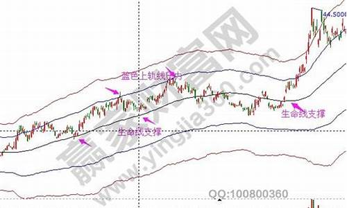山东金价暴跌原因_山东黄金金价为什么便宜