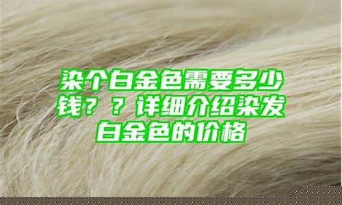 染发白金价格多少_染发白金价格多少钱一瓶