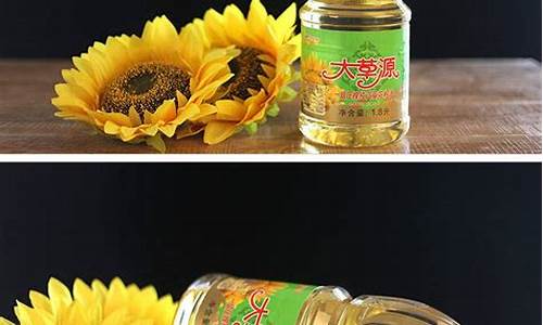 传统压榨葵花籽油价格_压榨葵花油排行榜是哪个品牌