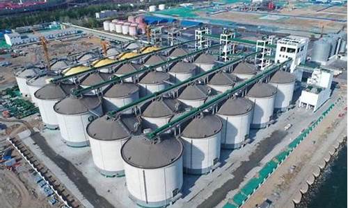 秦皇岛中石化今日油价_河北秦皇岛中国石化油价