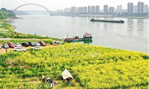 泸州市合江县今天油价多少钱一公斤_泸州市合江县今天油价多少