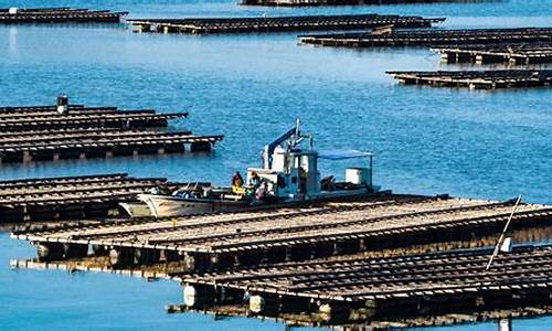 海边渔村92油价_海边渔村92油价是多少