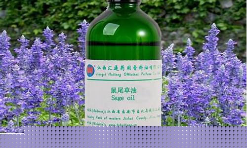 鼠尾草精油价格_天津鼠尾草油价格