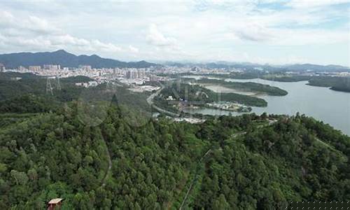 深圳石岩今天的金价_深圳金价今日价格多少钱一克
