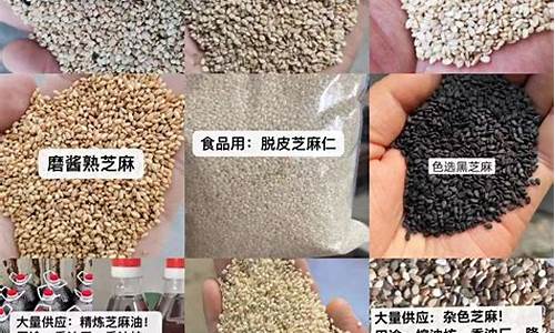 芝麻油的价格是多少元_芝麻油价格最新行情