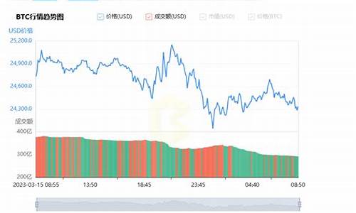 比特币美金价实时_比特币美金价实时行情走势
