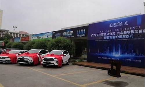 广西中石油油价_广西玉林中石油价