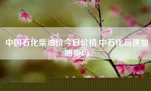 中国石化今天的柴油价格表图片_中国石化今天的柴油价格表