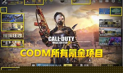 使命召唤 氪金_使命召唤氪金价格
