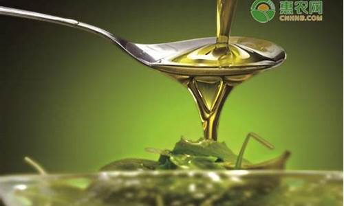 国外胡麻油价格多少钱一斤_国外胡麻油价格多少